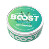 BOOST Pouches