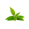 L-Theanine